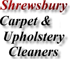 Shrewsbury Area Carpet Cleaner Business Directory Marketing