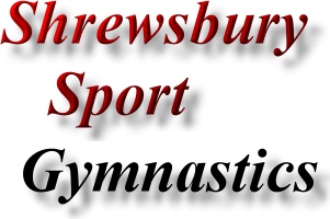 Shrewsbury Shrops Sports promotion - gymnastics